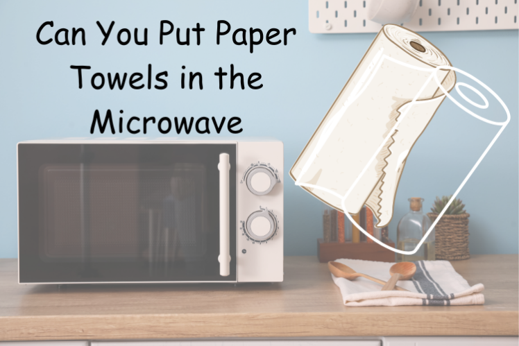 Paper Towels in the Microwave